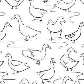 Sheba the duck, doodles