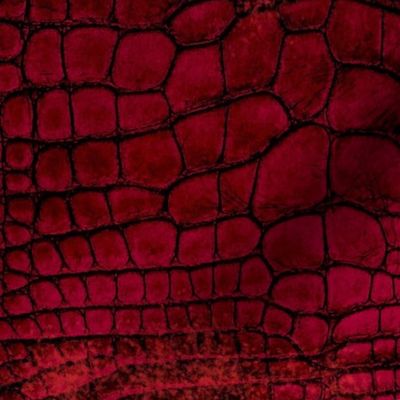 Red Dragon Crocodile Aligator Reptile Scales