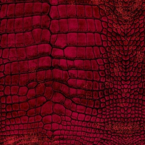 Red Dragon Crocodile Aligator Reptile Scales