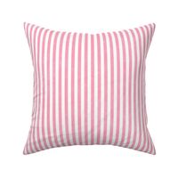 Pajama Stripe - pink and white