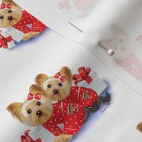 Yorkie Christmas Twins XS