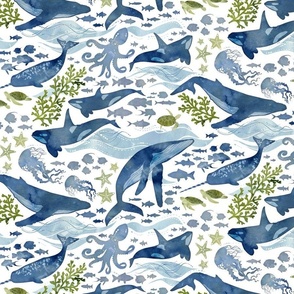 Ocean life green with navy whales