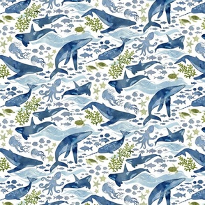 Ocean life green with navy whales small