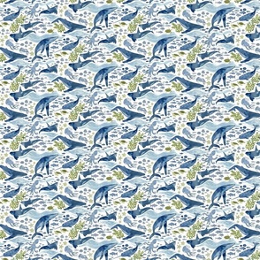 Ocean life green with navy whales extra small