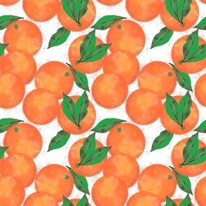 Medium Valencia Oranges on White