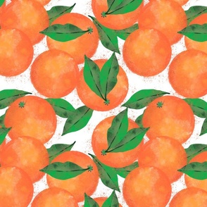 Jumbo Valencia Oranges on White