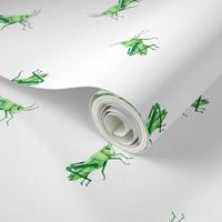 Medium Green Grasshoppers on White by Brittanylane