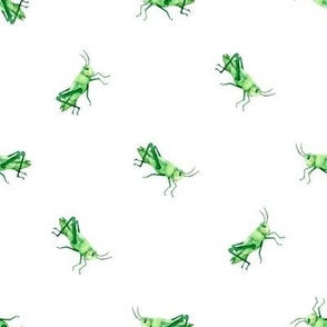 Medium Green Grasshoppers on White by Brittanylane