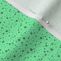mint green with brown snowflake canvas print