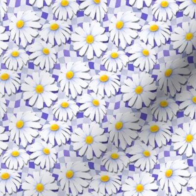 Paper Daisies on Wavey Checkerboard - very peri 