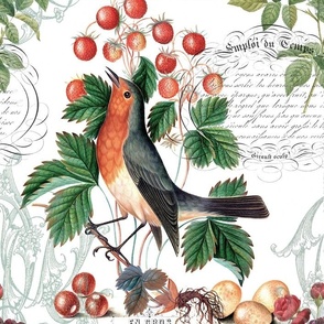 VINTAGE ROBIN WITH STRAWBERRIES AND ROSES