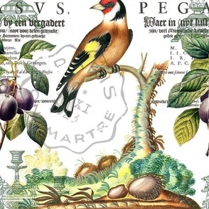 VINTAGE GOLDFINCH WITH CROWN AND PLUMS