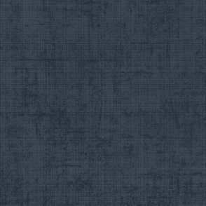 Canvas Texture_navy