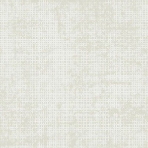 Canvas Texture_cream