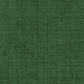 Canvas Texture_Green