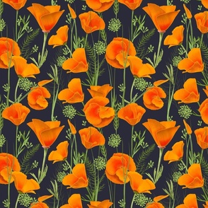 Yosemite Wallpaper Tufted Poppies Eschscholzia caespitosa