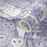 owls NC periwinkle blue