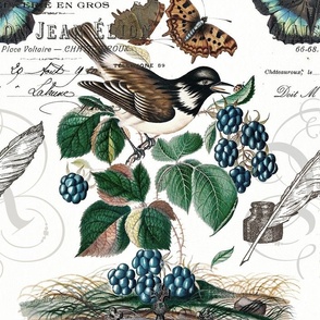 VINTAGE STARLING WITH BRAMBLEBERRIES AND BUTTERFLIES