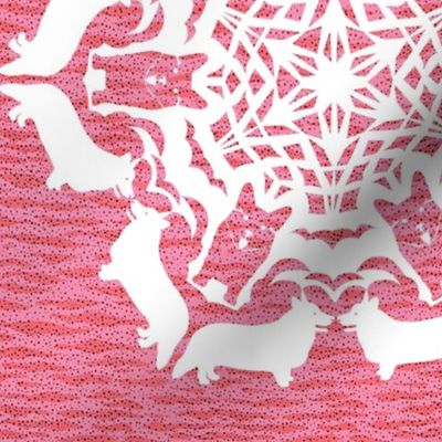 Corgis Love Snow on Pink Ripples