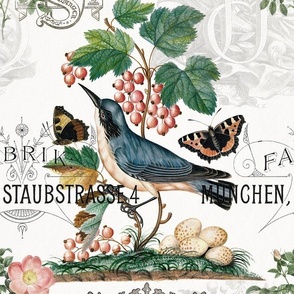 VINTAGE WARBLER WITH WILD ROSES AND BUTTERFLIES