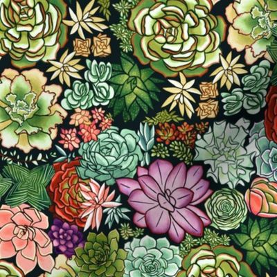 Vintage Succulent Plant Pattern - Small Scale