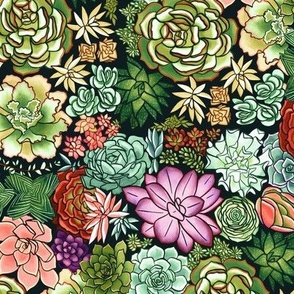 Vintage Succulent Plant Pattern - Small Scale