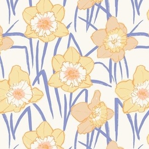 Daffodil fields- Medium Peri Hufton Studio