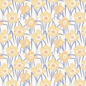 Daffodil fields -Mini Peri- Hufton Studio
