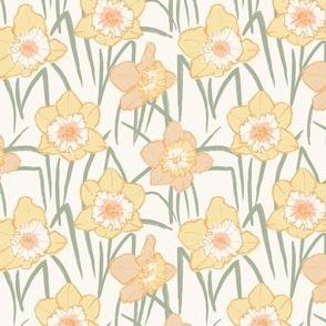 Daffodil fields- Small Thyme- Hufton Studio