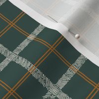 Green tartan modern plaid