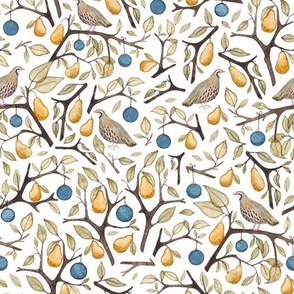 Partridge in a pear tree 