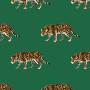 Easy Jaguar in Emerald | 12" Repeat