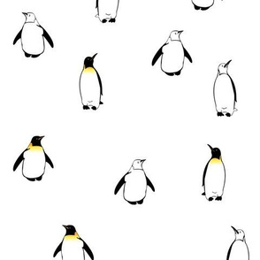 PenguinA2012