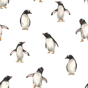 Penguin Buddies  on White // Large