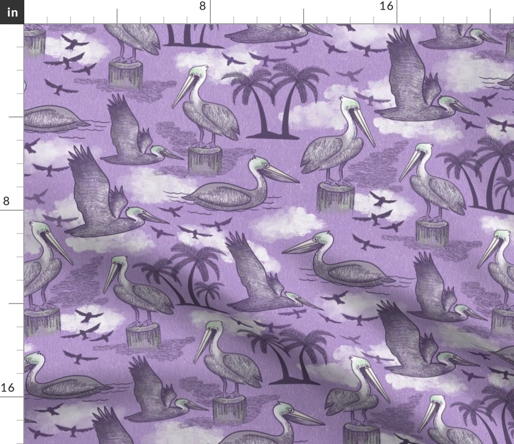 Brown Pelicans - Peri Purple - Regular Scale