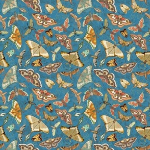 Butterflies and Moths on an blue background, smaller scale
