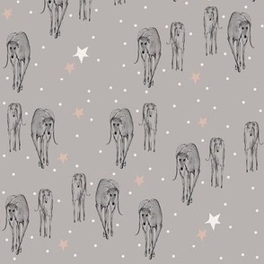 sighthounds in starlight