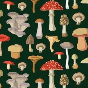 Mushrooms on Green