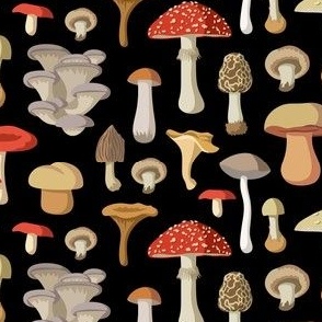 Mushrooms on Black