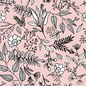 foliage sketches pink