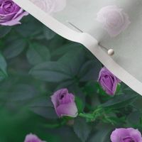 8x12-Inch Repeat of Victorian Conservatory Greenhouse with Violet Roses