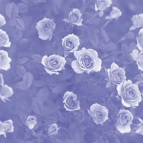 8x12-Inch Repeat of Periwinkle Lavender Roses