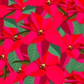 Christmas poinsettias