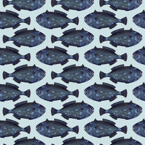 LOTS OF BLUE FISHES - ON SEA GREEN