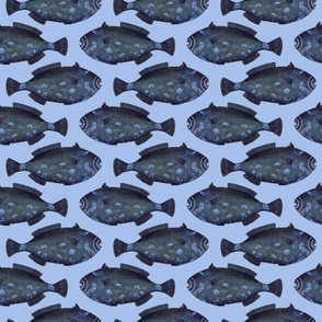 LOTS OF BLUE FISHES - ON SKY BLUE