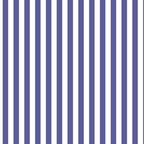 blue iris stripes vertical - pantone color of the year 2008