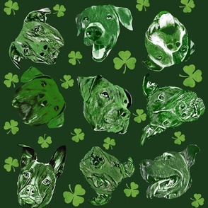 Lucky Dogs - St.Patricks Day - Shamrock - Pitbull
