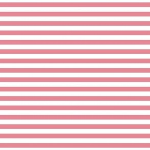 berry cream stripes .25"