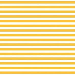 golden yellow stripes .25"