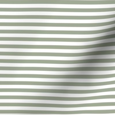 sage green stripes .25"